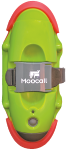 moocall-calving-sensor