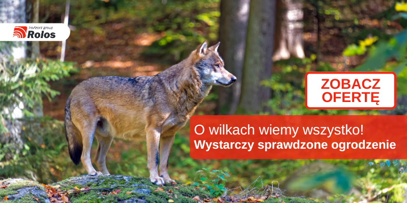 Ogrodzenia - kwiecień 2025